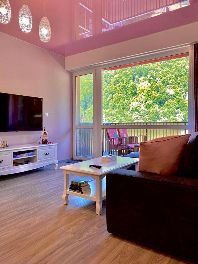 Sweet Pink By Miro Apartment Sinaia Kültér fotó