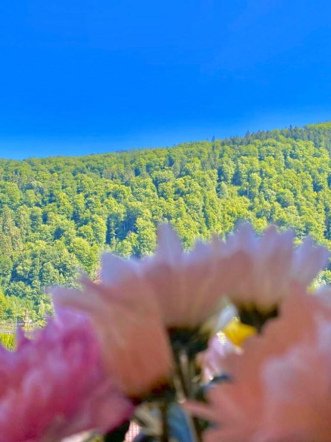 Sweet Pink By Miro Apartment Sinaia Kültér fotó