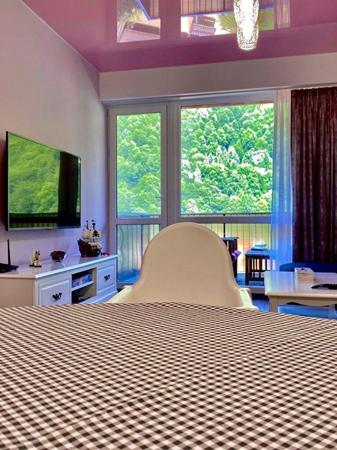 Sweet Pink By Miro Apartment Sinaia Kültér fotó