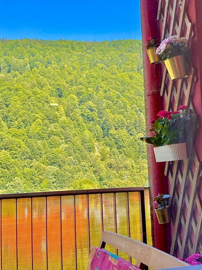Sweet Pink By Miro Apartment Sinaia Kültér fotó