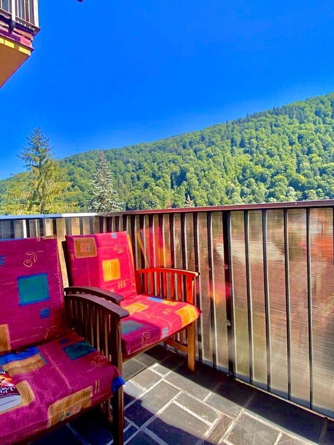 Sweet Pink By Miro Apartment Sinaia Kültér fotó